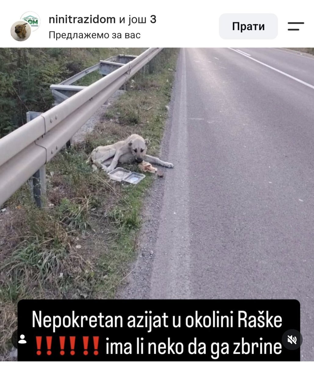zverka_1970's tweet photo. Preuzeto sa Ig... https://t.co/vZ1AO8ASQl