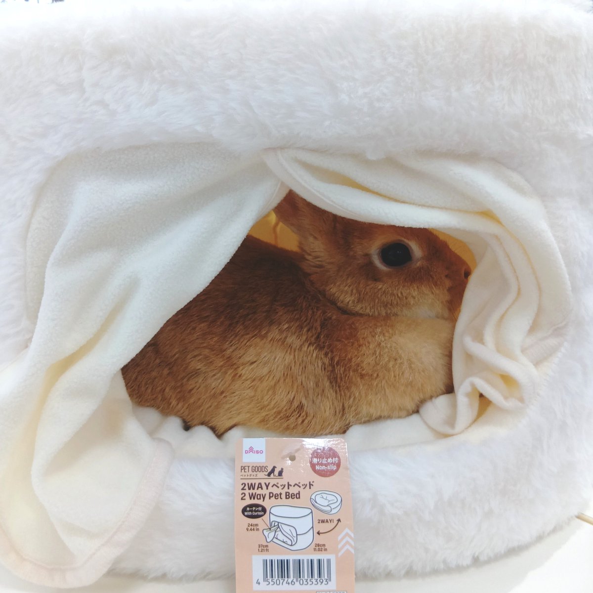 tippu_kidds's tweet photo. スリコのペット用こたつ みたいな商品をいいな〜🤔💭と思っていたら…SNSで愛兎🐰にぴったりそうな物を発見‼️‼️
ダイソーさんに走りました🚗💨

はい💡今日おすすめご紹介するのは、ダイソーの2WAYペットベッド(カーテン付)です👏  
🐰さんにも結構ちょうど良いサイズ感＆秋冬仕様に向けて暖かい素材💮 https://t.co/d4i0mIAAKU
