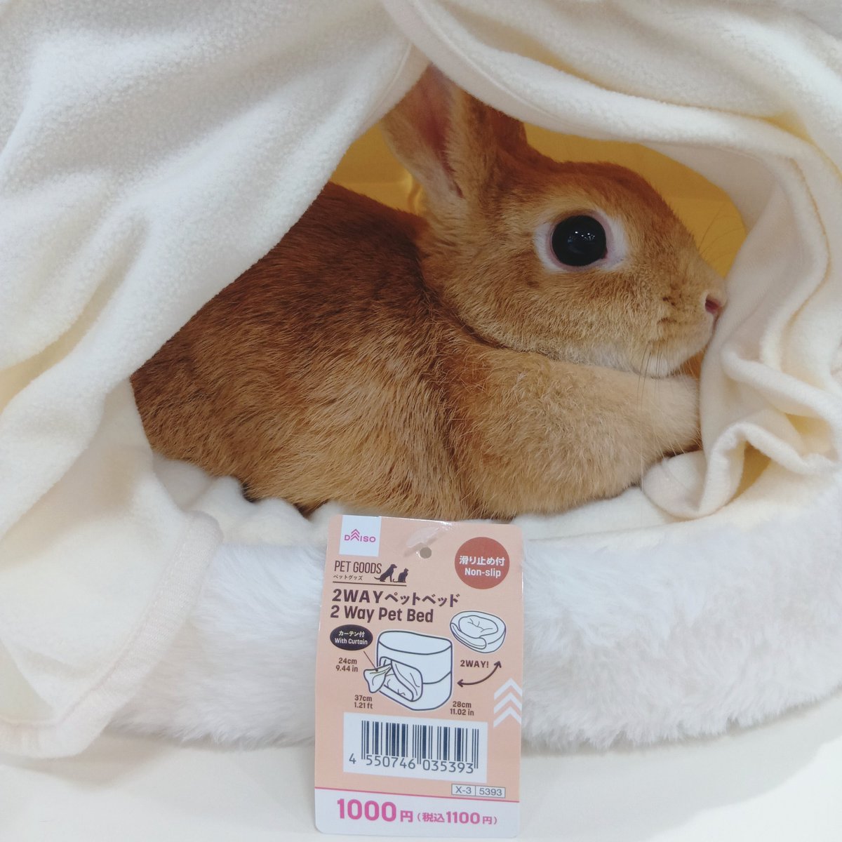 tippu_kidds's tweet photo. スリコのペット用こたつ みたいな商品をいいな〜🤔💭と思っていたら…SNSで愛兎🐰にぴったりそうな物を発見‼️‼️
ダイソーさんに走りました🚗💨

はい💡今日おすすめご紹介するのは、ダイソーの2WAYペットベッド(カーテン付)です👏  
🐰さんにも結構ちょうど良いサイズ感＆秋冬仕様に向けて暖かい素材💮 https://t.co/d4i0mIAAKU