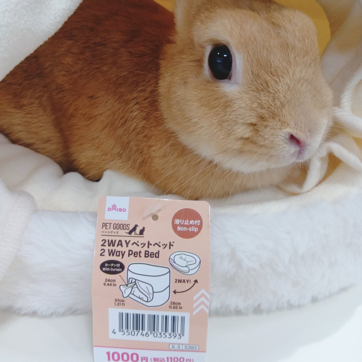 tippu_kidds's tweet photo. スリコのペット用こたつ みたいな商品をいいな〜🤔💭と思っていたら…SNSで愛兎🐰にぴったりそうな物を発見‼️‼️
ダイソーさんに走りました🚗💨

はい💡今日おすすめご紹介するのは、ダイソーの2WAYペットベッド(カーテン付)です👏  
🐰さんにも結構ちょうど良いサイズ感＆秋冬仕様に向けて暖かい素材💮 https://t.co/d4i0mIAAKU