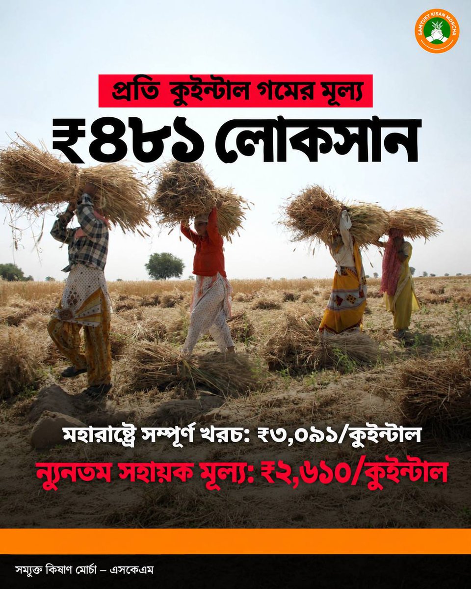 JKA_WB's tweet photo. SKM-এর বক্তব্য অনুযায়ী, মহারাষ্ট্রে প্রতি কুইন্টাল গমের সম্পূর্ণ খরচ ₹৩,০৯১, অথচ MSP ₹২,৬১০। ফলে প্রতি কুইন্টালে ₹৪৮১-এর ব্যবধান রয়েছে।

#SamyuktKisan #WheatMSP #MSP #FarmersRights #Agriculture https://t.co/E2uTrFaO3c