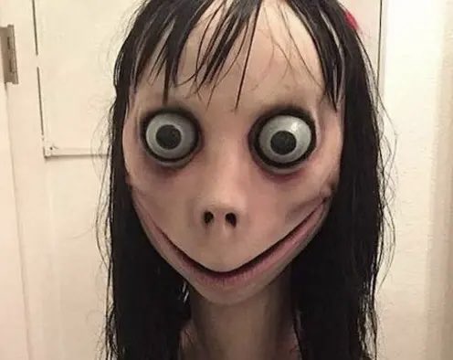 ickystickykitty's tweet photo. Momo lowk niche faps in 2026 👀 https://t.co/r0TD5rmNRR