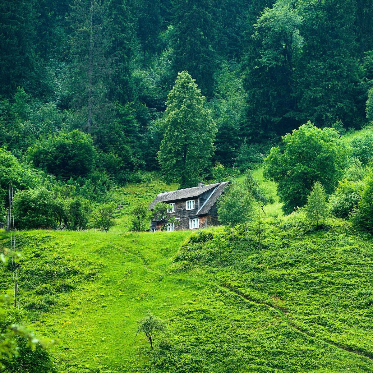 Rifkysupriyadi2's tweet photo. This quiet, secluded hilltop has me eager to "lock down"—perfect for escaping the rush. https://t.co/rkcjRznLfw