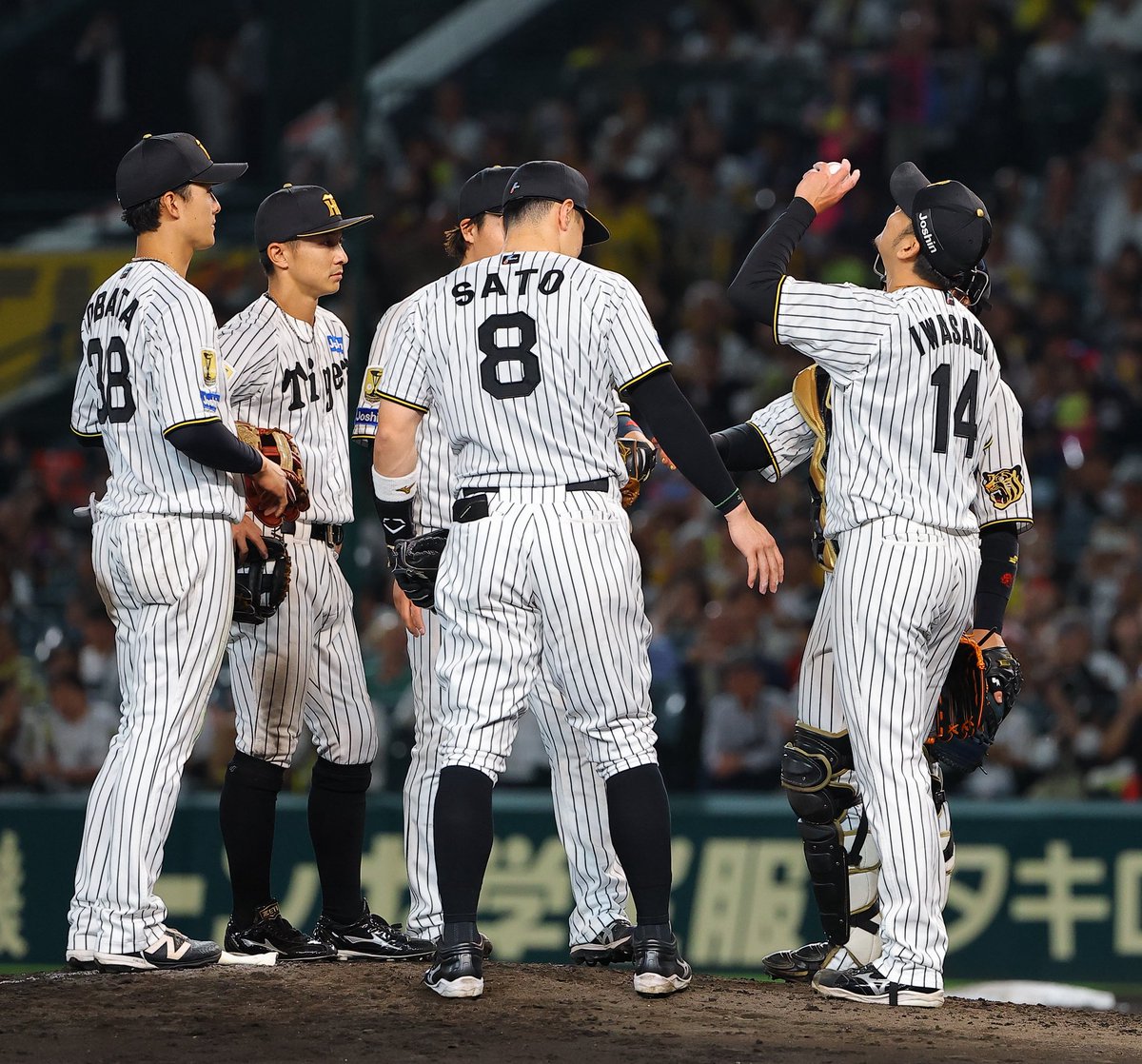 NikkanNaruohama's tweet photo. 岩貞祐太投手と梅野隆太郎捕手は、
夜空へ掲げていました⚾️ https://t.co/eVMsfRRXZN