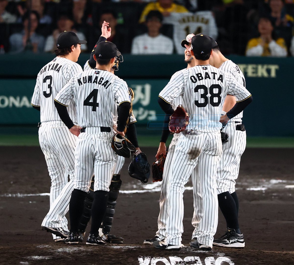 NikkanNaruohama's tweet photo. 岩貞祐太投手と梅野隆太郎捕手は、
夜空へ掲げていました⚾️ https://t.co/eVMsfRRXZN