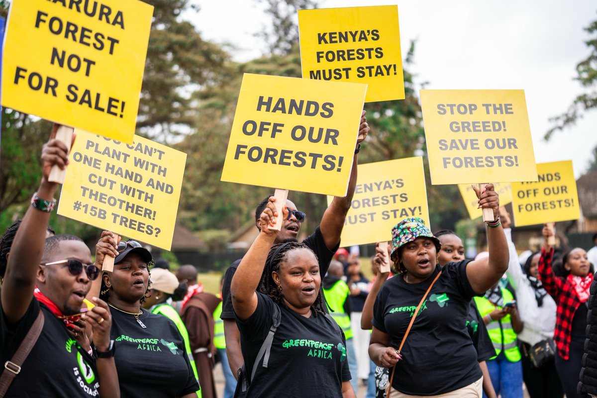 Georginah_16's tweet photo. Public Participation matters! Communities deserve to know what is planned for public forests and why those decisions are being made!https://t.co/TuiAltOnrO
#HandsOffOurForests #ProtectKenyasForests https://t.co/wLVngJMEX6