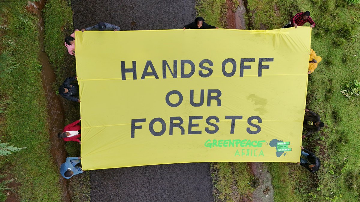 Georginah_16's tweet photo. Public Participation matters! Communities deserve to know what is planned for public forests and why those decisions are being made!https://t.co/TuiAltOnrO
#HandsOffOurForests #ProtectKenyasForests https://t.co/wLVngJMEX6