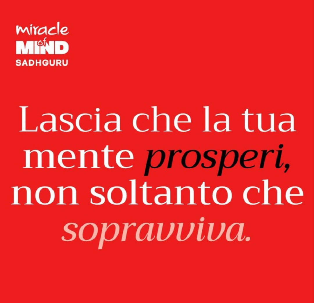 zakirovasofiya's tweet photo. Grazie@EcoEcologia per questo bellissimo articolo dedicato alla #meditazione e ai suoi benefici per la salute del cervello
Scopri i benefici della meditazione e ritrova il tuo equilibrio interiore in soli 7 minuti al giorno con #miraclemind
https://t.co/Be52aEiJBp… https://t.co/jArwhQbqwy