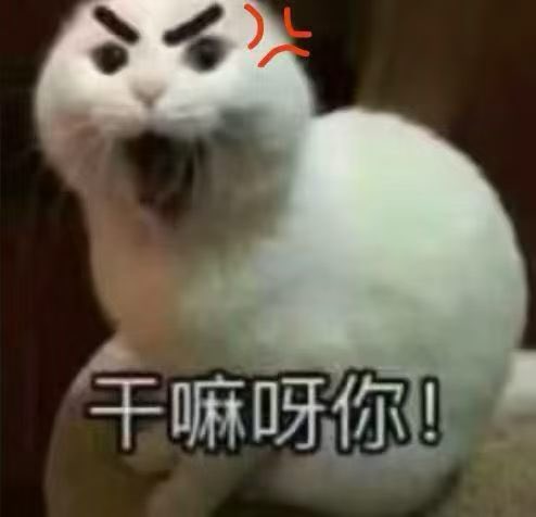 wstwst1101's tweet photo. 有人爱我嘛 https://t.co/tkFAxPNvrc