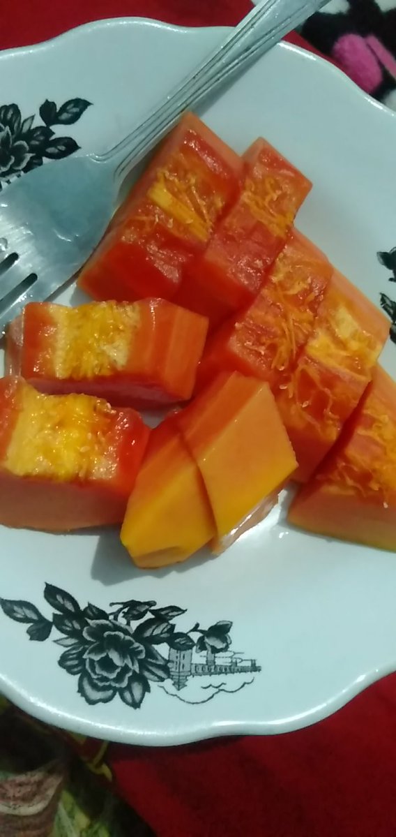 airainss's tweet photo. siapa yang suka pepayaaa https://t.co/6mlcqjWMd7