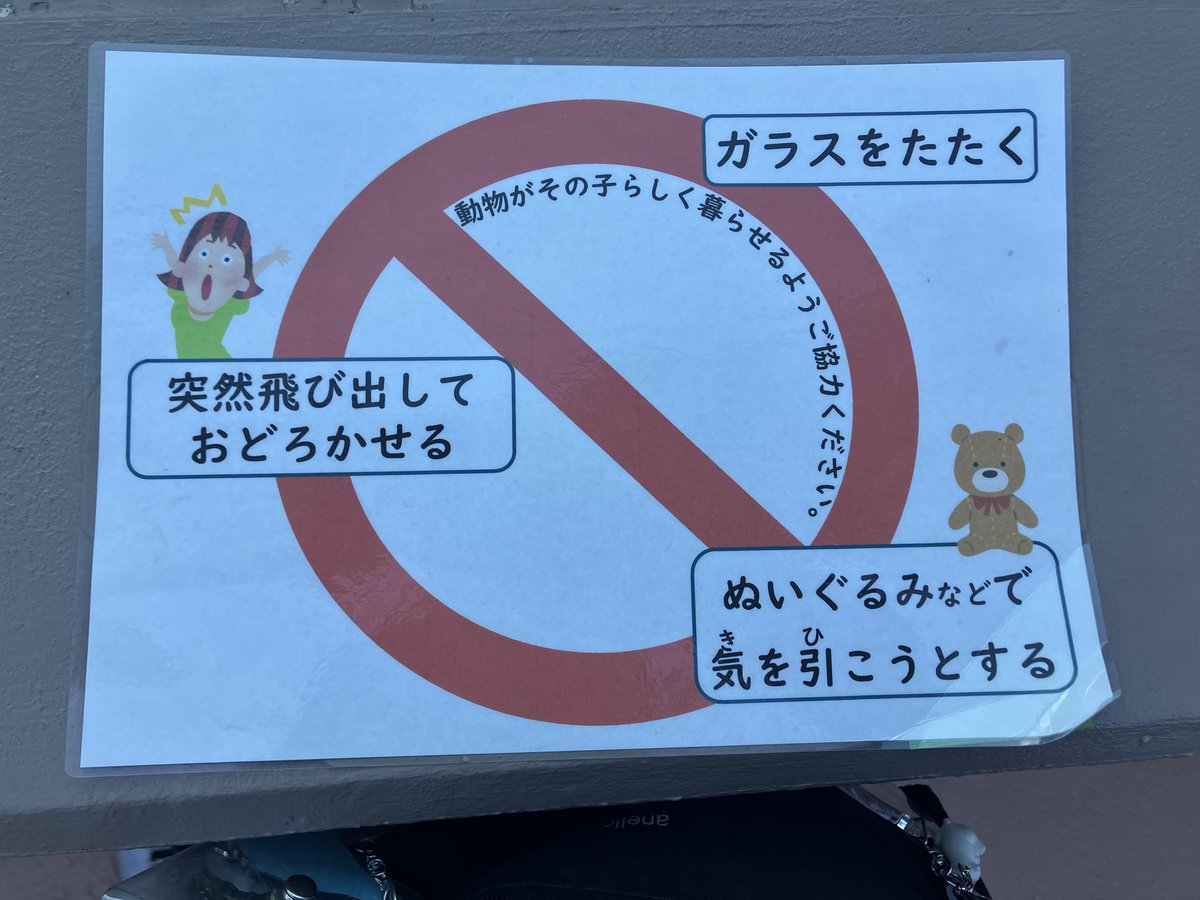 kazurin_star31's tweet photo. ホウちゃんの水槽前
ホウちゃんに両手を振って気をひこうとしている人達が（何度もしていた）😱

お庭には注意の貼り紙が貼られたけど水槽前にはない
貼り紙がなくてもホウちゃんが疲れます
ホウちゃん以外の他の動物さん達にもしないでね

#ホウちゃん #ホッキョクグマ #天王寺動物園 https://t.co/kPYuMV9zrF