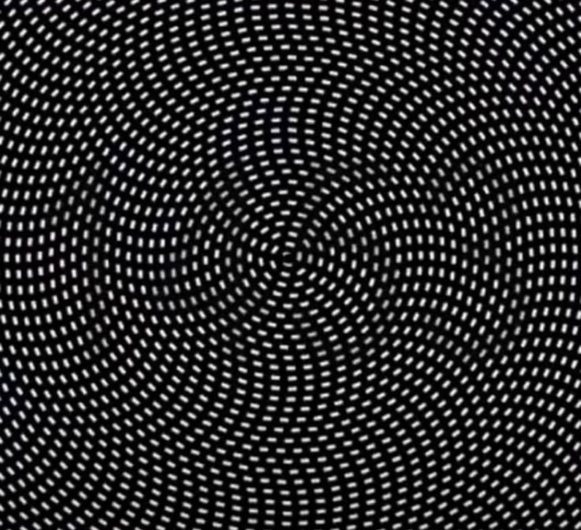 mrdogeus's tweet photo. No one has found this number yet.

What number do you see??

The one who finds the correct answer wins $10,000
It ends in 72 hours!! https://t.co/aMgTFOFwoB