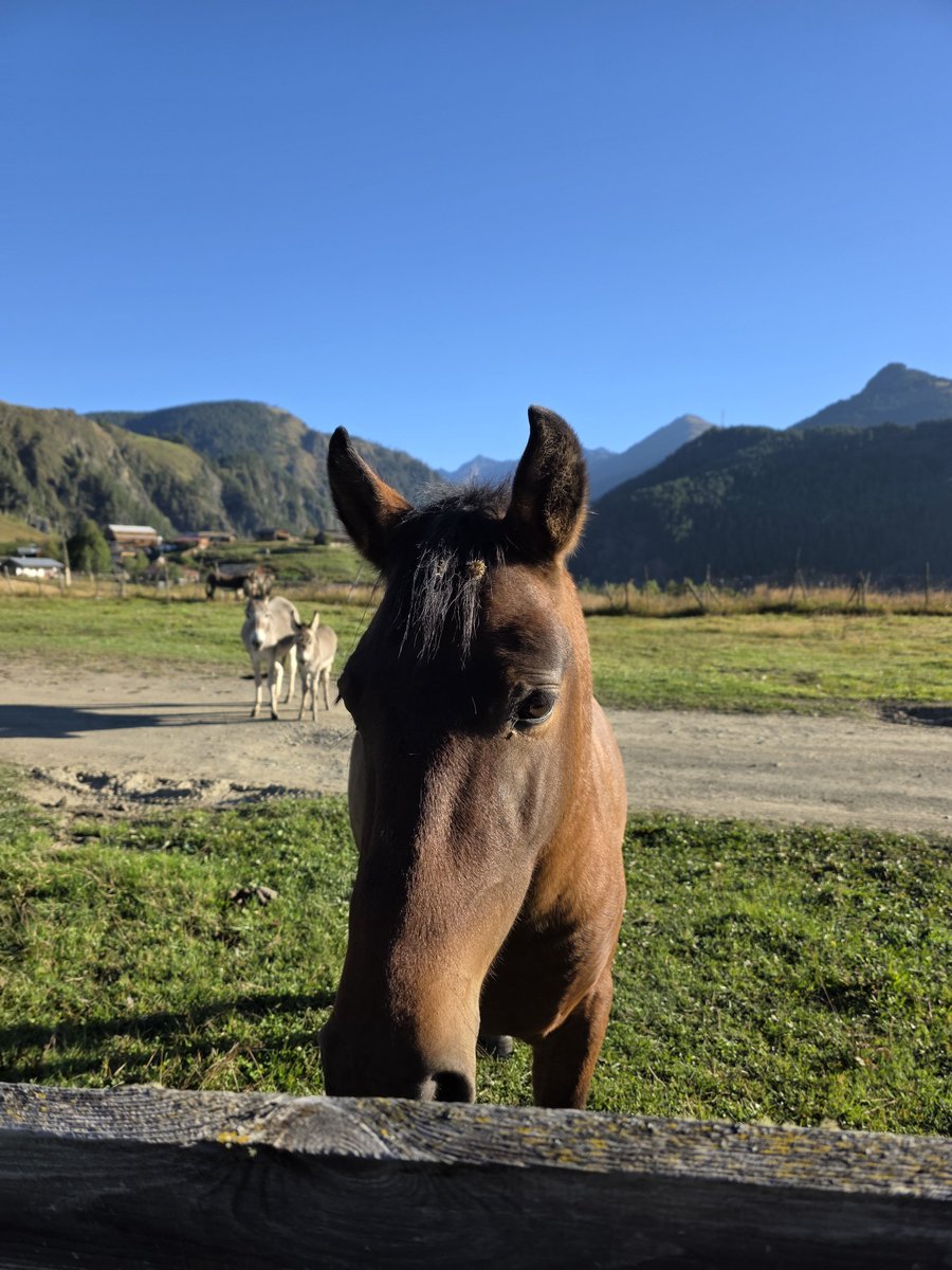 Crypto4Donkey's tweet photo. https://t.co/MKogX5Gsyw