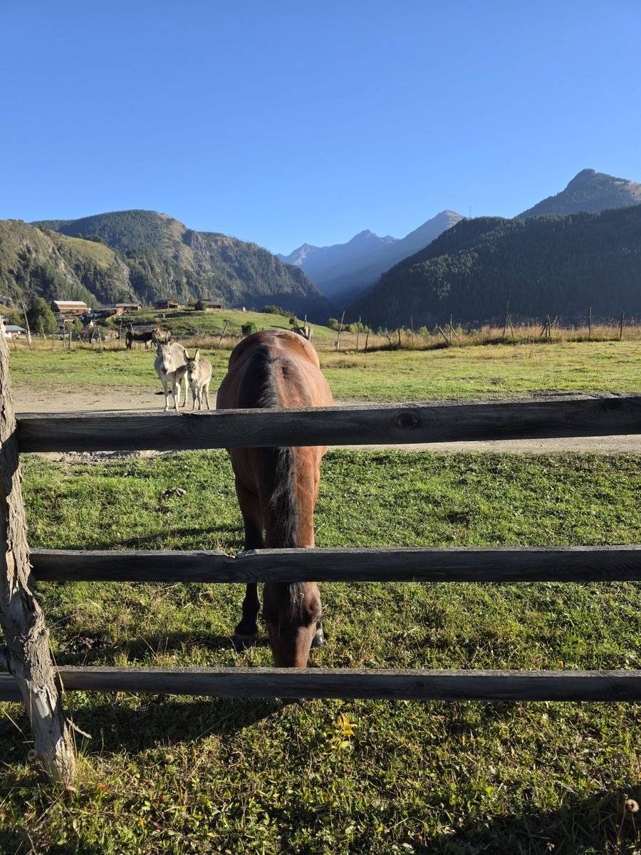 Crypto4Donkey's tweet photo. https://t.co/MKogX5Gsyw