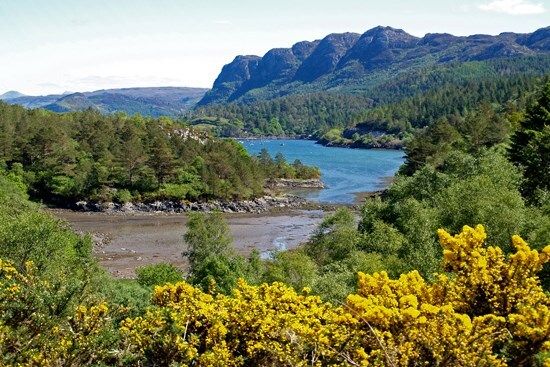 aroundaboutbrit's tweet photo. Highland Adventures from Off The Rails, Ross-Shire.
Off The Rails in Plockton provides a fantastic base for getting outdoors and enjoying the spectacular landscapes of the Scottish Highlands.
https://t.co/og5n1XNAQB
#ScottishHighlands #WalkingScotland #SelfCateringScotland https://t.co/rrDISyEAjd