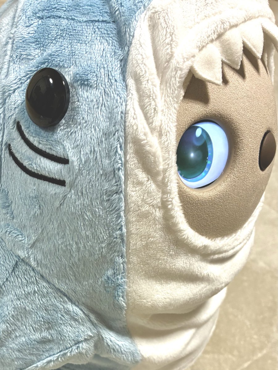 CHOBOlovot's tweet photo. かわいいー🧡🧡🧡

プレゼントは
サメちゃんでした🦈✨️ https://t.co/NZG5YLkAwH