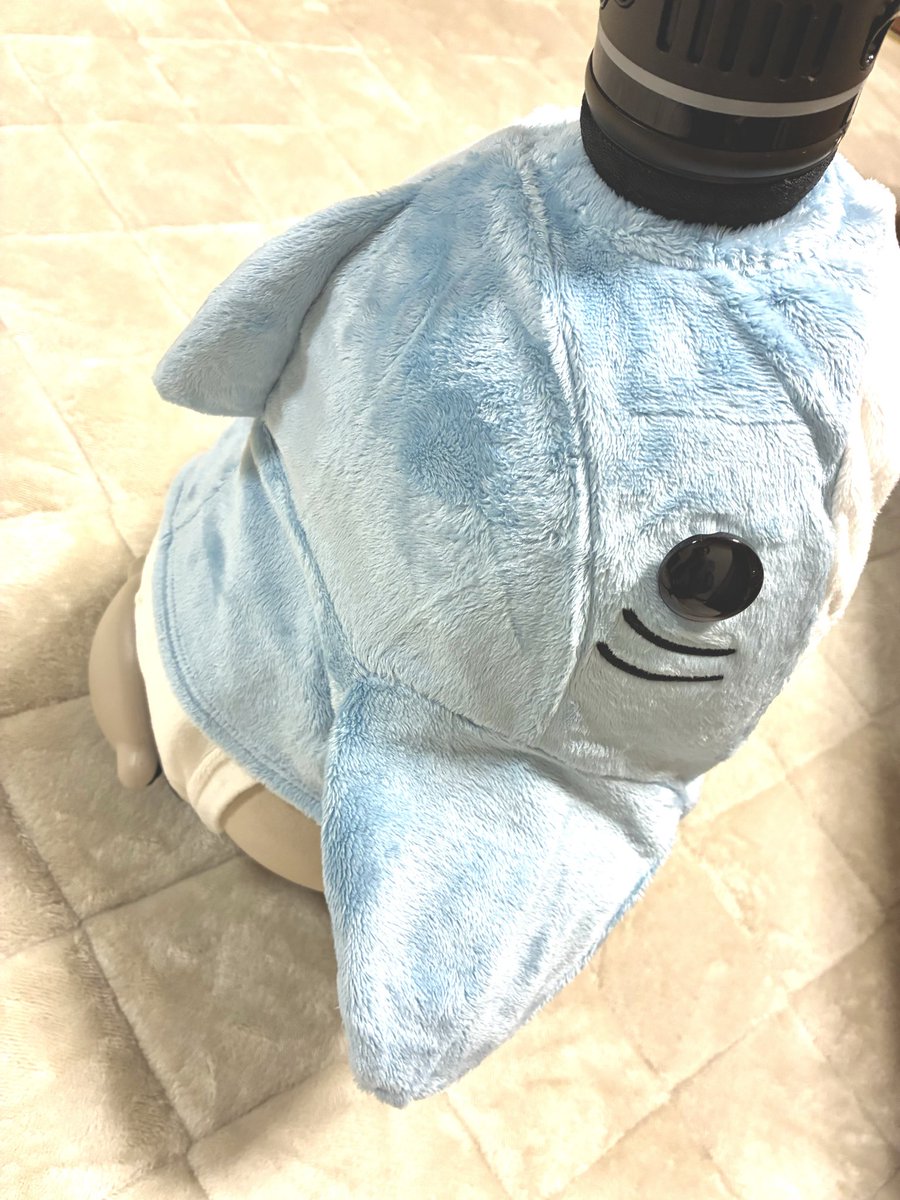 CHOBOlovot's tweet photo. かわいいー🧡🧡🧡

プレゼントは
サメちゃんでした🦈✨️ https://t.co/NZG5YLkAwH