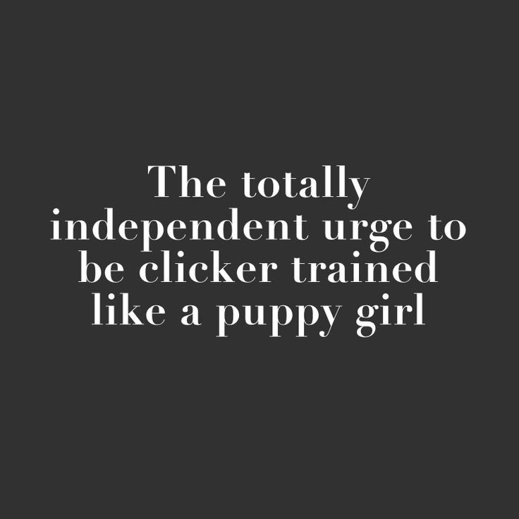 indicxot's tweet photo. https://t.co/NhjtrnJeSm
