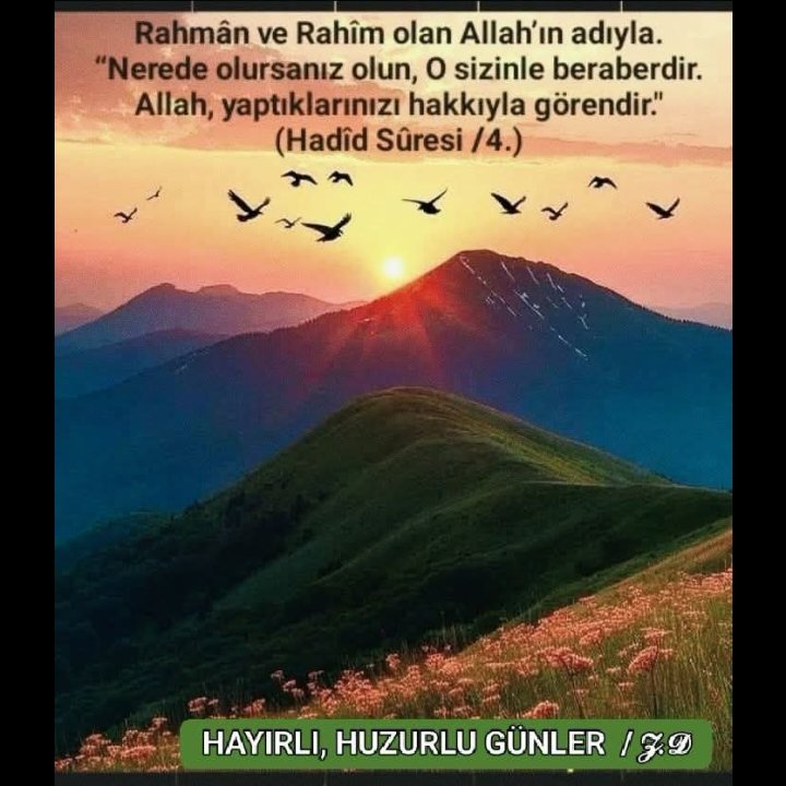 Yapar2Ensari's tweet photo. https://t.co/wQPpC3Yd8U
