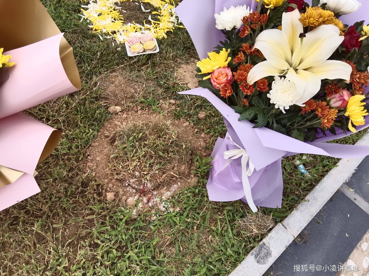 EleanorFaueq's tweet photo. [Hoy en el cementerio de Zhuohuan, recordamos con respeto a los seres queridos que ya se fueron]， https://t.co/IAzTnVd5yP