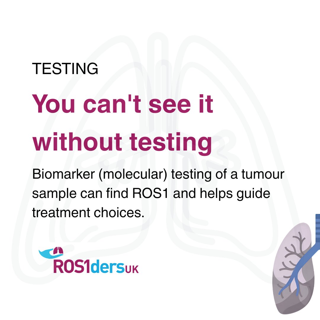 ros1dersuk's tweet photo. Rare doesn't mean alone. 🫁

Swipe through the basics of ROS1-positive lung cancer and share with someone who might need it.

https://t.co/Yoohg3TpNX

#ROS1 #rarecancer #LungCancerAwareness #biomarkertesting #TargetedTherapy https://t.co/0jJ33sq8ll