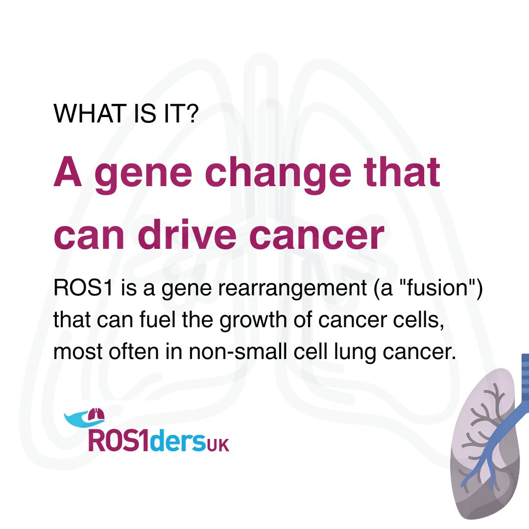 ros1dersuk's tweet photo. Rare doesn't mean alone. 🫁

Swipe through the basics of ROS1-positive lung cancer and share with someone who might need it.

https://t.co/Yoohg3TpNX

#ROS1 #rarecancer #LungCancerAwareness #biomarkertesting #TargetedTherapy https://t.co/0jJ33sq8ll