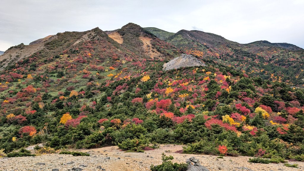 loa1530's tweet photo. 福島県民は立山とか北アルプスとか行かんでも一切経山と安達太良山があるじゃない。
あそこで十分日本離れした絶景紅葉が見れるぞ。 https://t.co/Z8HIFSuznU