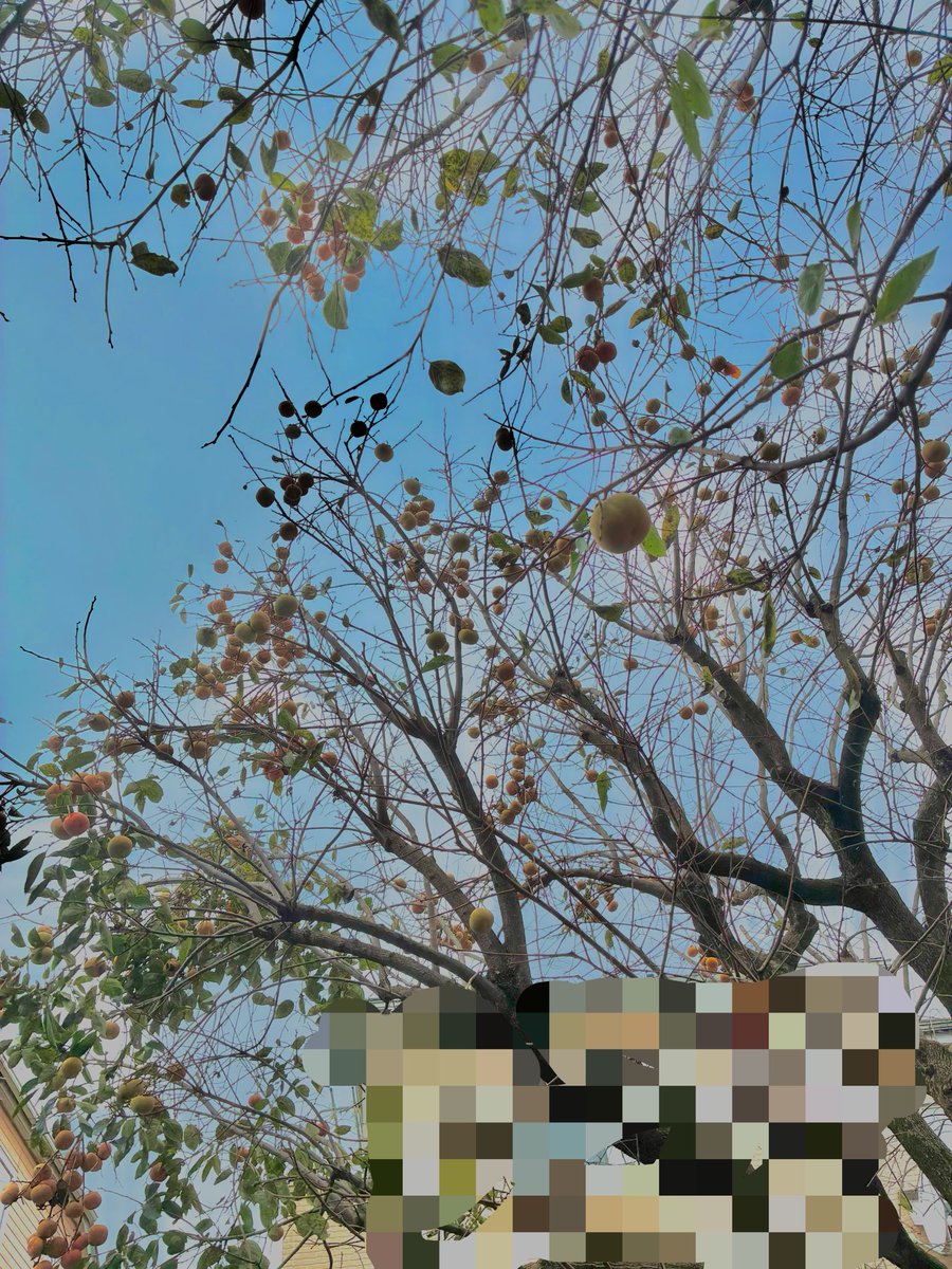 emoemo1220 tweet picture