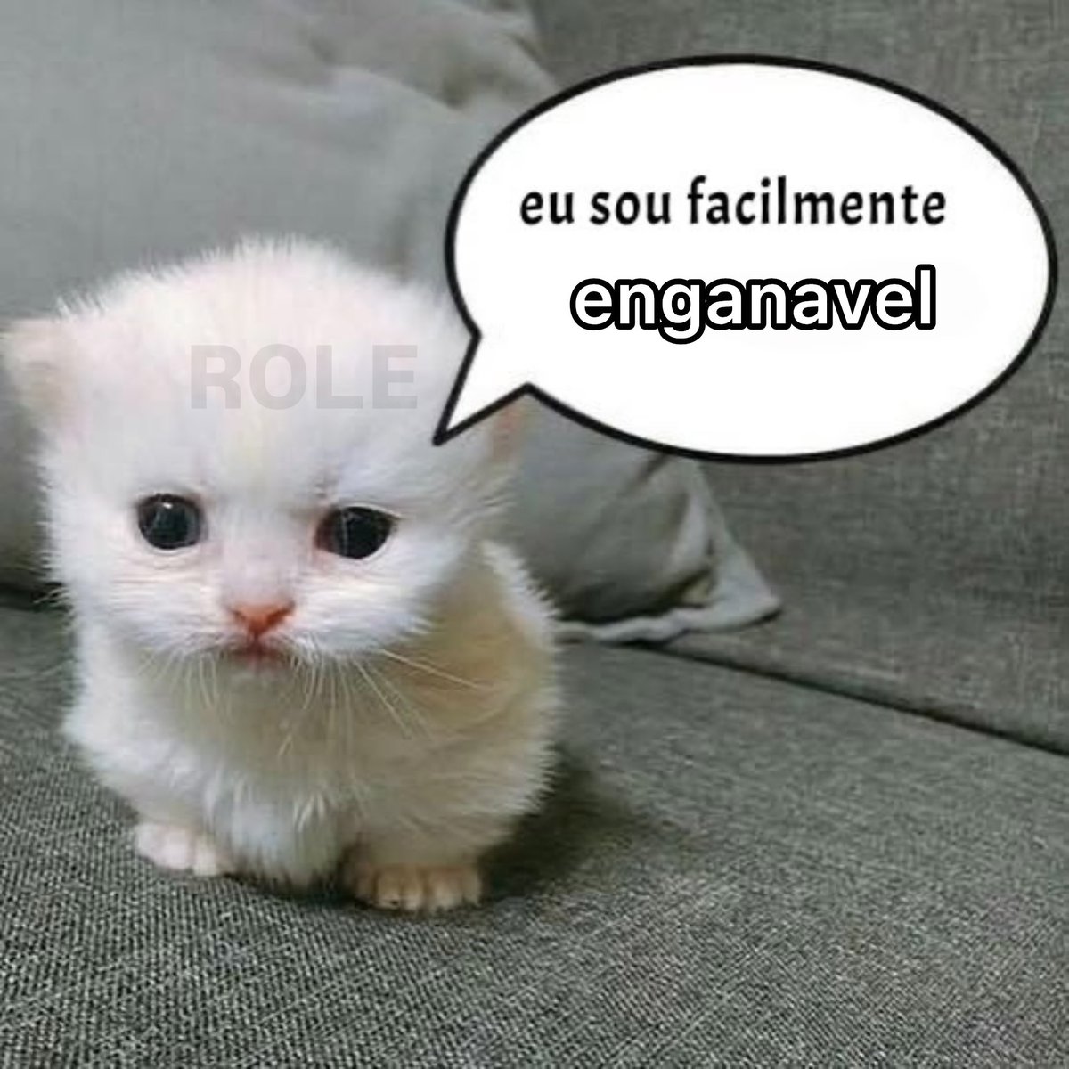 rolealeatorio's tweet photo. https://t.co/tWRZOtlo51