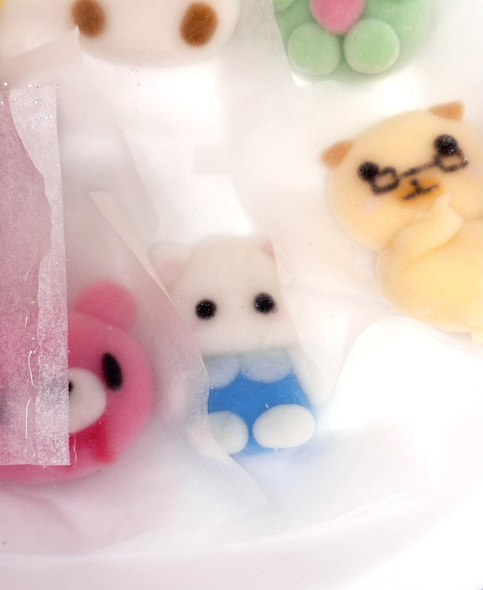 pigkumma's tweet photo. 시라타마 만들기 ♬⋆.˚ https://t.co/U9vueiT3DE