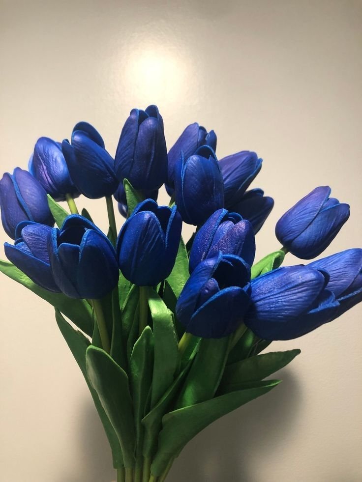 dreamyflowerrs's tweet photo. blue tulips https://t.co/JZTTdM4NyM