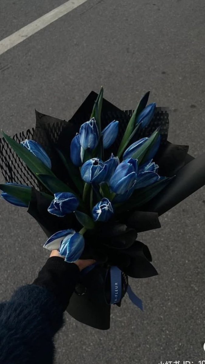 dreamyflowerrs's tweet photo. blue tulips https://t.co/JZTTdM4NyM