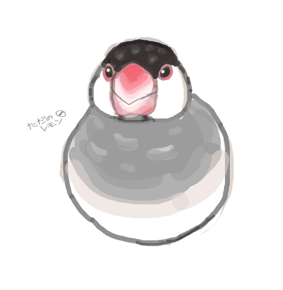 AsSUxV8MOU60389's tweet photo. まるまる文鳥
※投稿し直しましたスミマセン🙏 https://t.co/A8npqwKi0O
