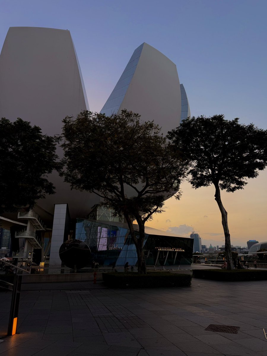 _sunset05's tweet photo. who’s here for @token2049 &amp; @F1 🇸🇬 ? 🙋🏻‍♀️ https://t.co/N8Ka6zGsin