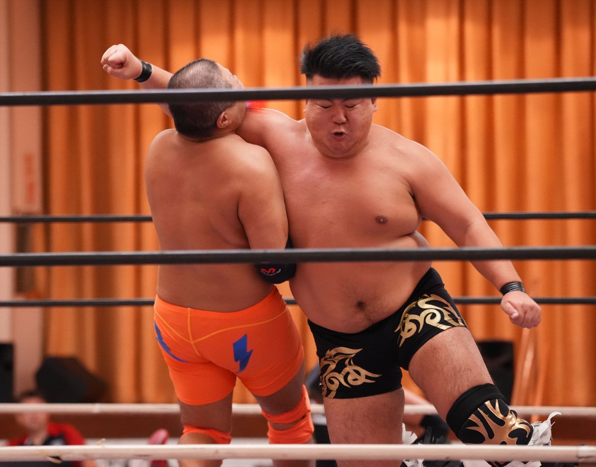 Namjunkzone's tweet photo. 藪木選手、ハミ選手のラリアット2発で敗退。
#RAW94 https://t.co/i0wwkFCB2T