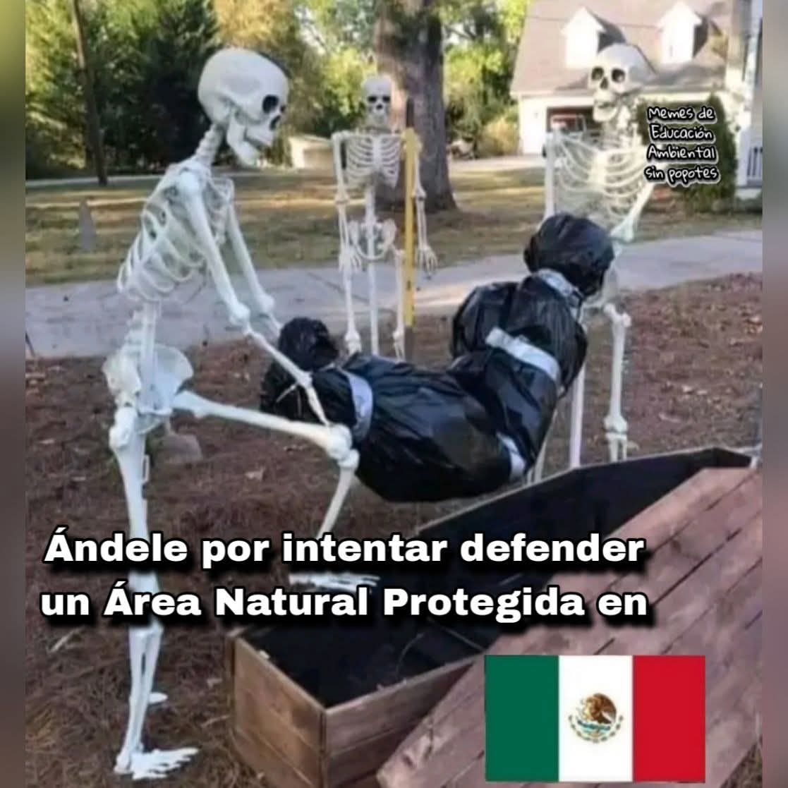 En_jupiter_'s tweet photo. Ser defensor ambiental en México https://t.co/KHaInS8ROJ
