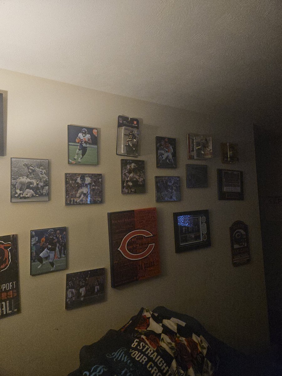 BearsFanDC tweet picture