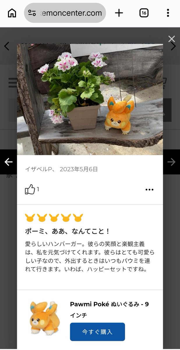 molpamopamo's tweet photo. やっぱり海外ポケセンのpawmiレビューはとてもよい https://t.co/9n9E2RFmu8