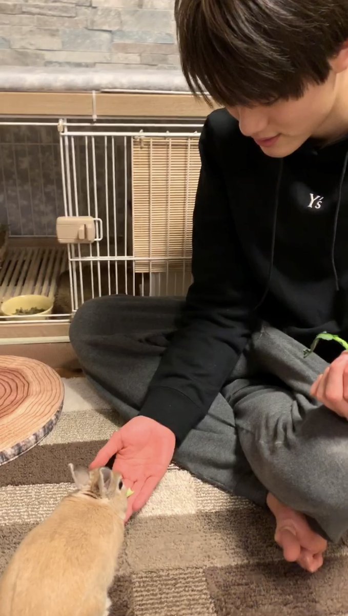 kenshin_0708_k's tweet photo. 🐰🌕🫶 https://t.co/u7rNZYJTaB