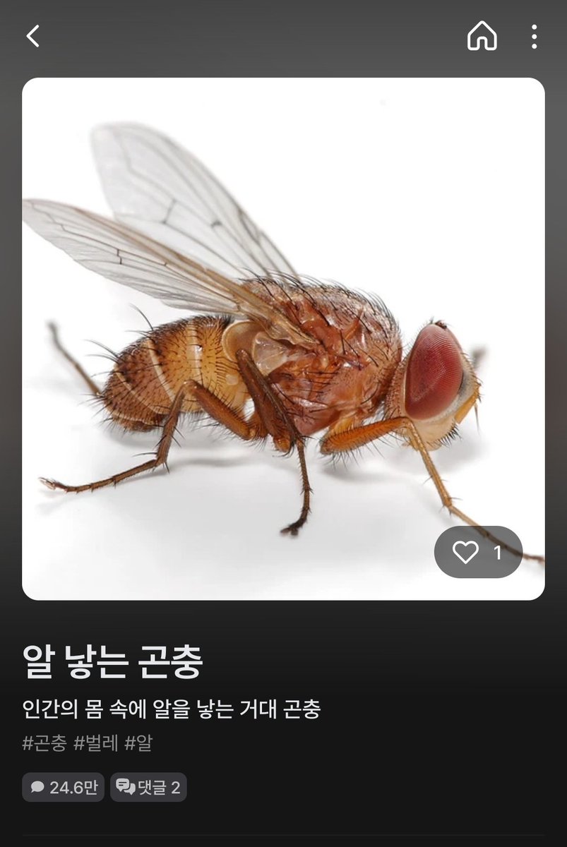 hwangsuwan86192's tweet photo. 사람들 얘랑 과연 뭔대화했는지 너무궁금함 https://t.co/q8AKTs2hvW