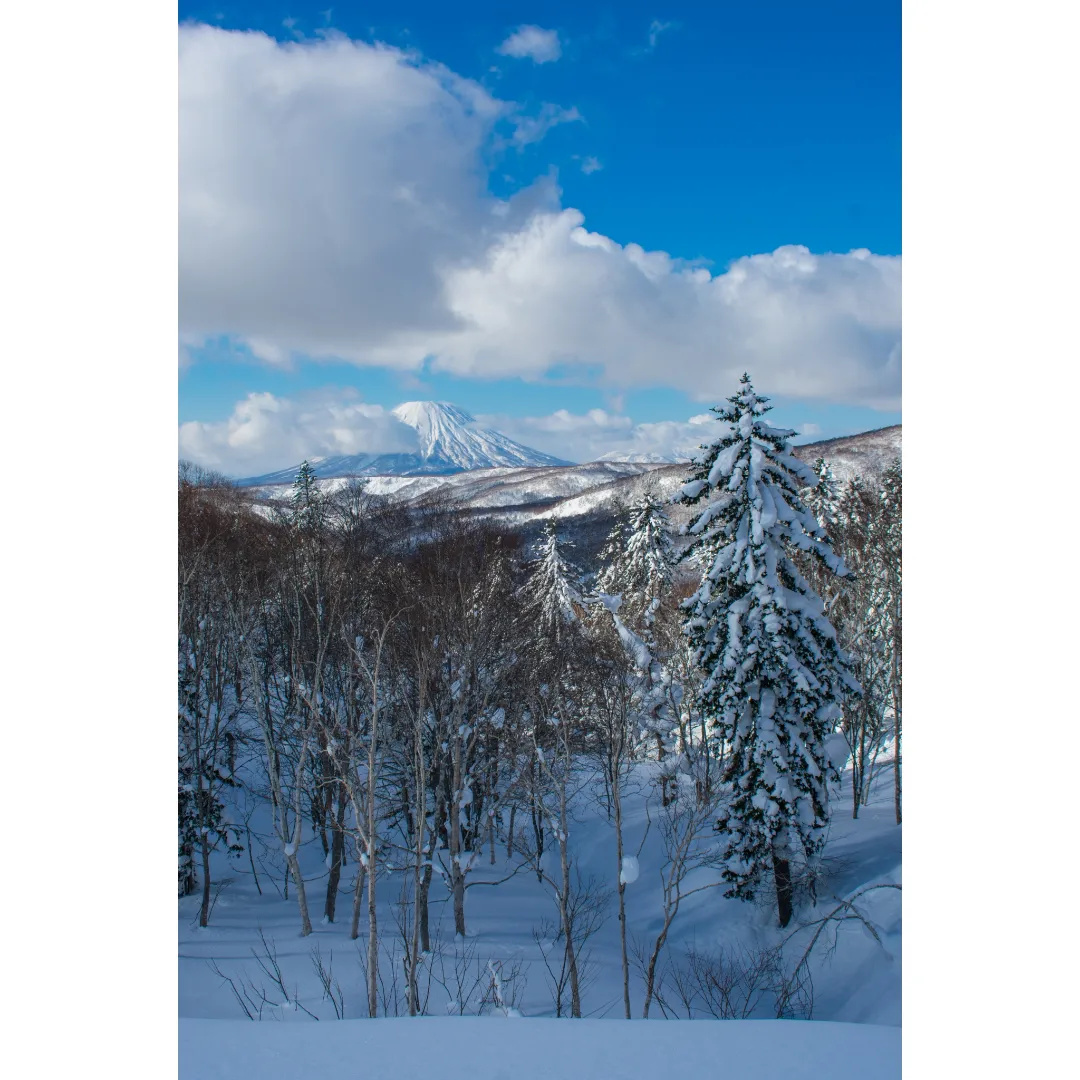 GranularQ's tweet photo. Sapporo, Hokkaido, Japón. Febrero de 2024. https://t.co/XppimtykTw