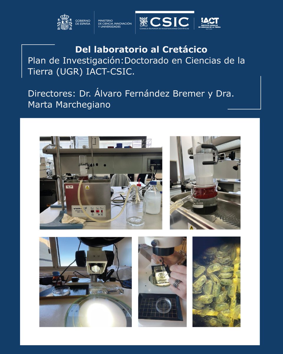 IACT_CSIC's tweet photo. Raquel López Ortiz (@IACT_CSIC / @UGR) ha presentado su Plan de Investigación de doctorado sobre el clima del Cretácico Tardío, un periodo muy cálido que sirve de "espejo" para entender el calentamiento futuro🌍🔥 https://t.co/YEf2bw4as0