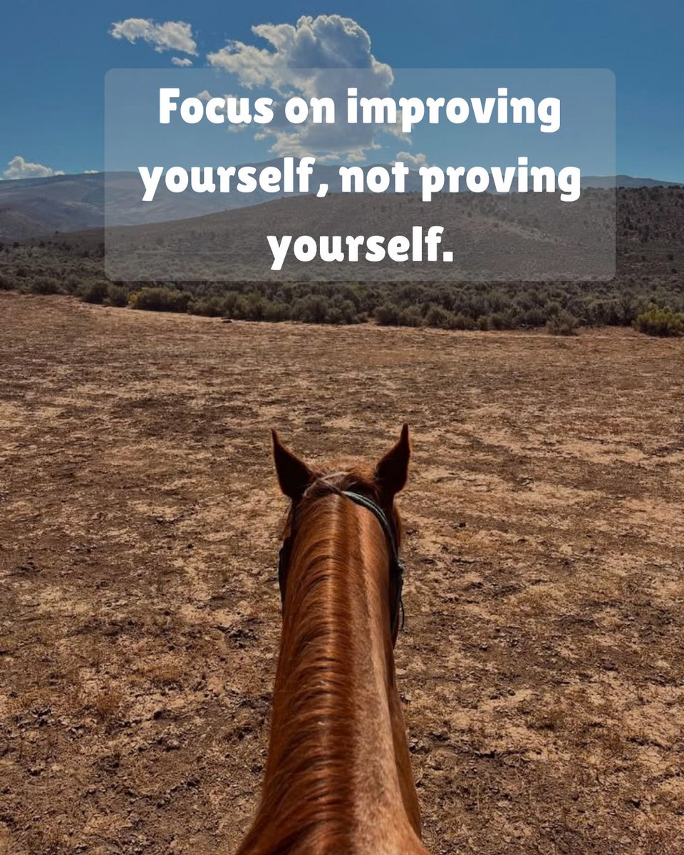 thepetlounge__'s tweet photo. Still learning. Still showing up. https://t.co/AYJtvqeAhC