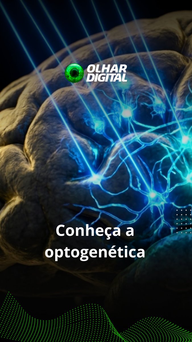 A stylized human brain illuminated by blue laser beams, with the text "Conheça a optogenética" and the "Olhar Digital" logo overlaid. The image visually represents optogenetics—the technique celebrated by the Nobel Prize in Medicine—where light, derived from light-sensitive algae proteins, is used to control brain cell activity like a switch.