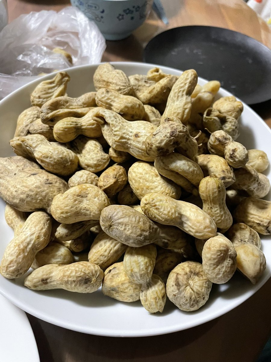 2ndSeason777's tweet photo. 近所でいただいた落花生。
今年も茹でていただきます🥜🍺 https://t.co/ofz5ay8C6s