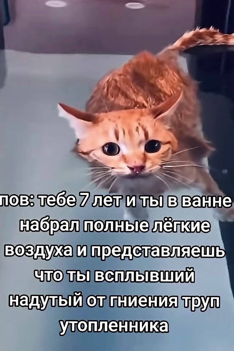 DantesDmitriy's tweet photo. https://t.co/amsumqk5mJ