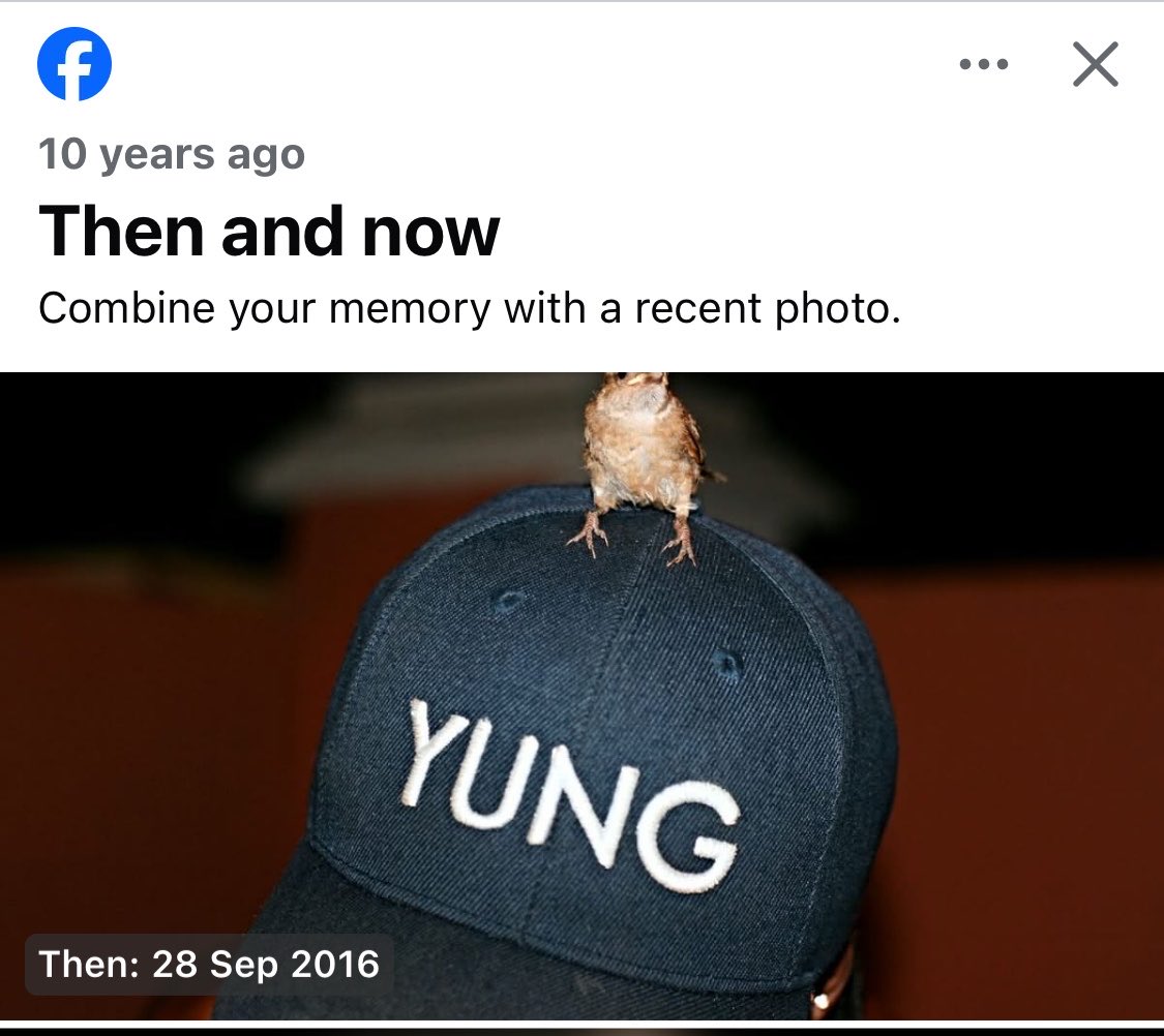 Kris_Houdini's tweet photo. I have a clothing brand called Y U N G APPAREL (@welcometoyung) 

Kindly check it out @ https://t.co/bz7waxx7w8 https://t.co/BgMViVqMLu