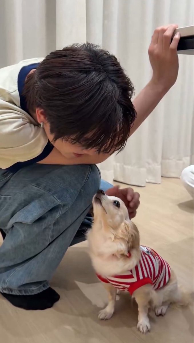 luvcatnotu's tweet photo. เพิ่งสังเกส ยูนิฟอร์มม๋าเด้กคือขาว-แดงอ๋อ 5656665566665666665666566555 https://t.co/svhNwzu2c6