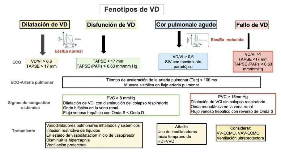 LeslieMegom's tweet photo. 👉Disfunción del ventrículo derecho🫀 en el paciente crítico. Evaluación ecocardiográfica🩸🩺
☕️Notas cafeteras 
🫀🩺Presión de la aurícula derecha . La PAD se calcula mediante la PVC y su estimación se puede realizar mediante los siguientes parámetros: • Índice de colapso de la vena cava inferior (VCI). 
1️⃣Se mide la VCI en el plano subcostal a 1-2cm de su unión con la AD, detrás de la vena hepática, en decúbito supino y al f inal delaespiración. El IC=[Dmax VCI- Dmin VCI]/Dmax VCI). 
2️⃣En el paciente crítico hay situaciones donde la dilatación de la VCI sin colapso respiratorio no predice respuesta al aporte de cristaloides
3️⃣Cociente E/e’ tricuspídeo. Mediante PW se registra la velocidad protodiastólica de llenado a nivel de la válvula tricúspide (onda E) y por DTI se registra la velocidad de relajación de la pared lateral del anillo tricuspídeo en protodiástole (onda e’). Un cociente E/e’>6 demostró asociarse a una PAD elevada:>10mmHg.
4️⃣ Validado en pacientes ventilados. 
• Patrón de flujo de las venas hepáticas: Una relación de ondas S<D se asocia con PAD elevada. 5️⃣Septo interauricular. Un desplazamiento hacia la AI se asocia con PAD elevadas.
👇🏽👇🏽👇🏽👇🏽
https://t.co/Qz83wjERm3
🗝🔓
https://t.co/CIXKVGCHNB