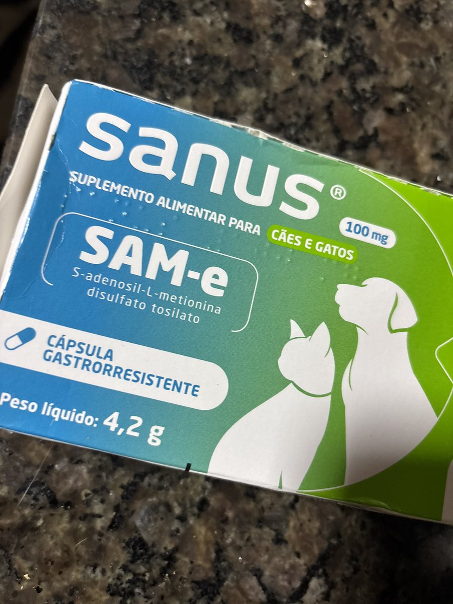 sonzapetsch's tweet photo. Aurora sofre de crises convulsivas e tem um tratamento mensal bem caro😢 tivemos emergências esse começo de mês e ainda tem o mês todo pela frente, o tratamento dela passa dos 2K por mês! toda ajuda importa 🙏 peço de todo coração! Comprovantes 👇🏻

🔑 auroracalvinha2@gmail.com https://t.co/IAuEePH3ja